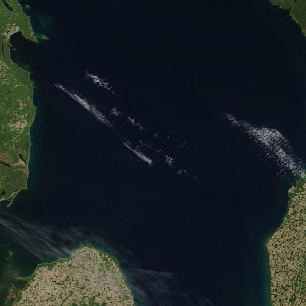 MODIS Terra True Color